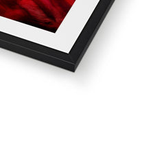 Load image into Gallery viewer, Vinaceous | Framed & Mounted Print